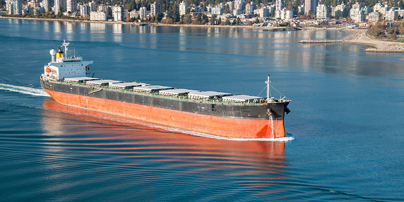 Shipping bulk carrier