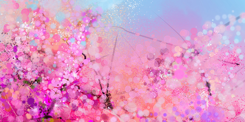 Abstract cherry blossoms with blurred nature background