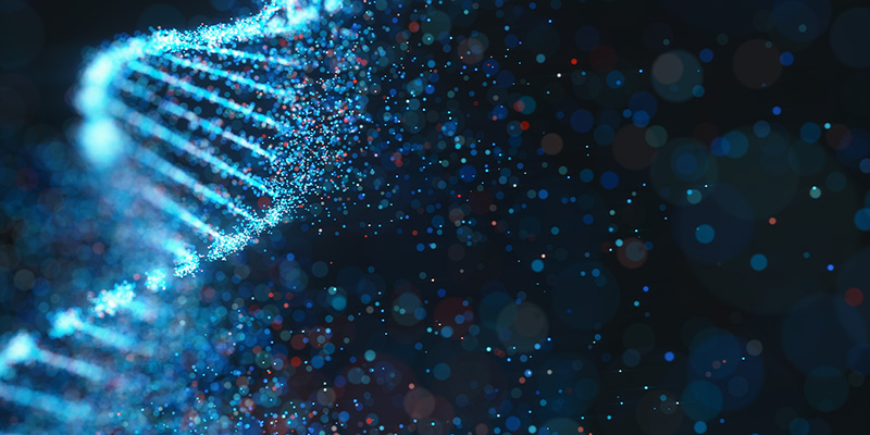 genetic code
