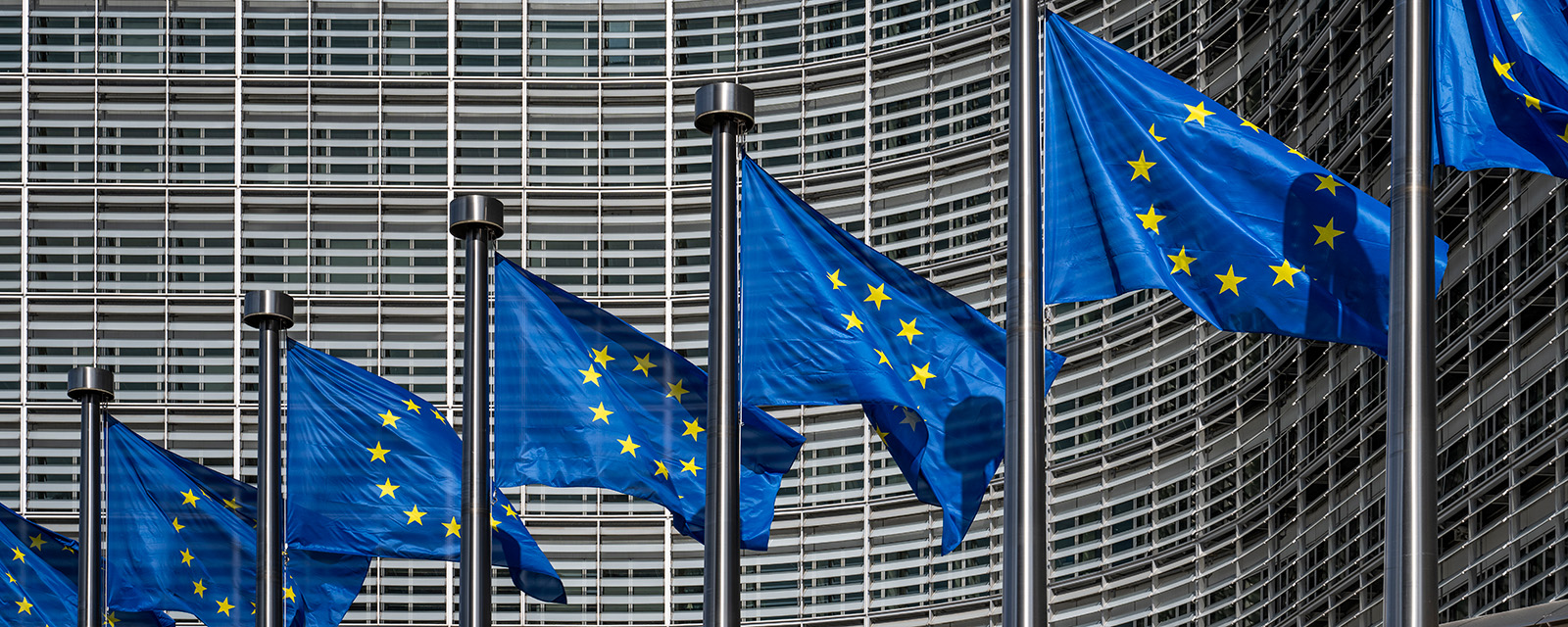 EU flags flying outside of a building