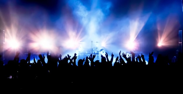 Crowd at concert