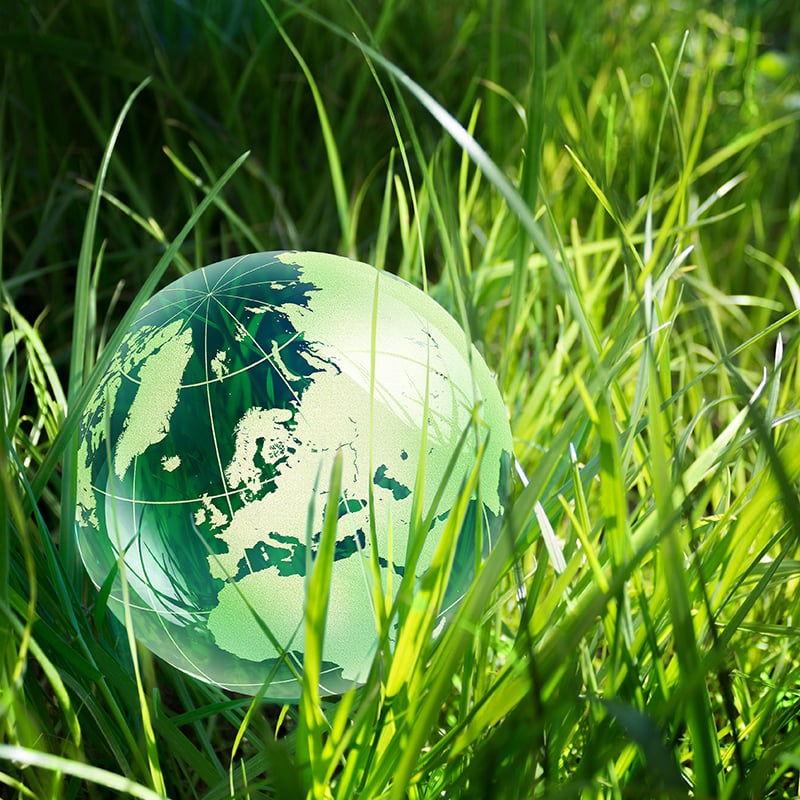 Green glass globe in grass