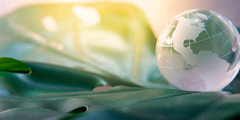 World globe crystal glass on green lush leaf