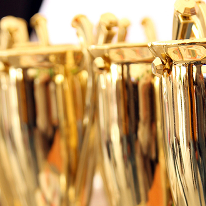 Golden cups and diploma for winners of the competitions