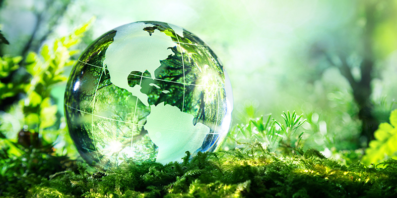 globe on leaves