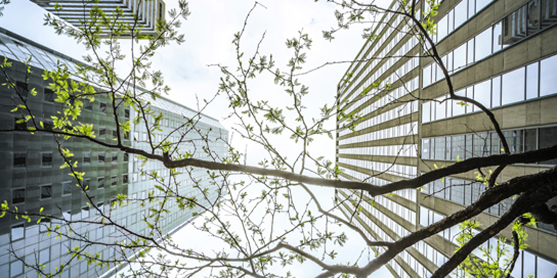 Office Buildings And Trees, Vertical View, New York, USA