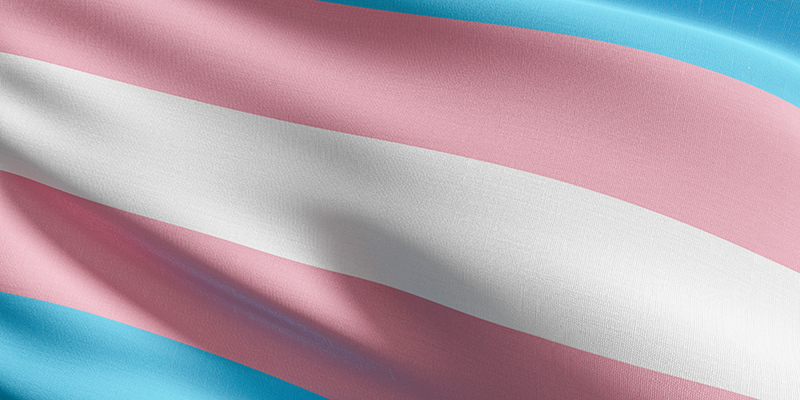 Transgender flag