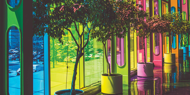 Potted trees in lobby; multicolored windows
