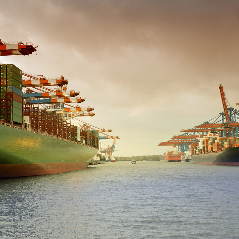 container ship in the harbour Waltershof