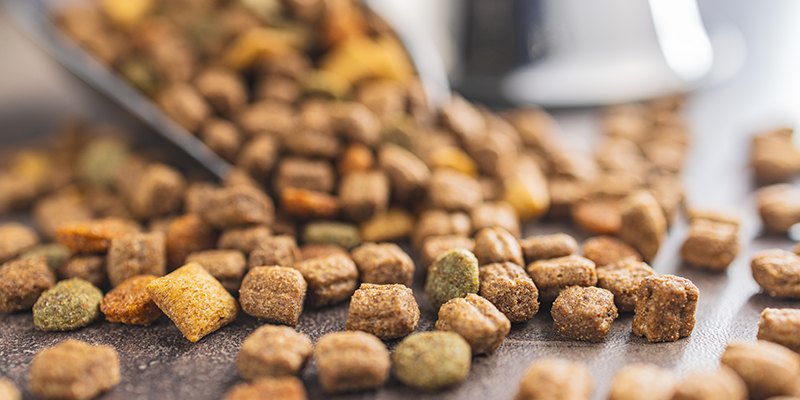 scattered pet kibble