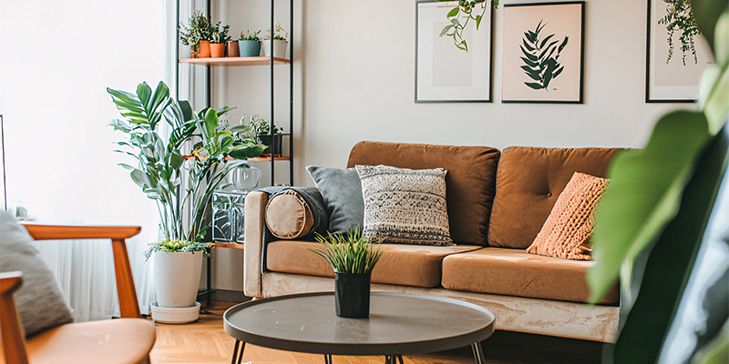 Interior of an apartment, highlighting a sofa, chair, coffee table, plant, and wall art