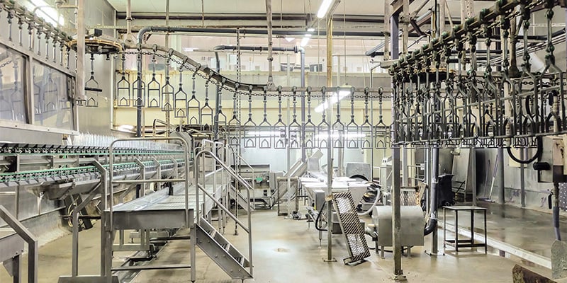 Interior of a processing plant