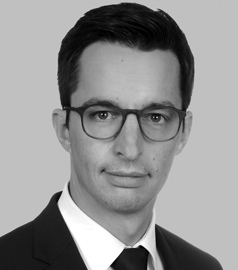 Frederik E. Laux LL.M. Photo