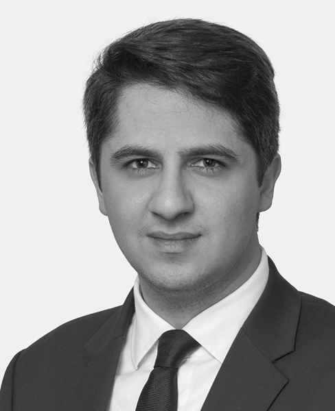 Alexandre Shamloo Photo