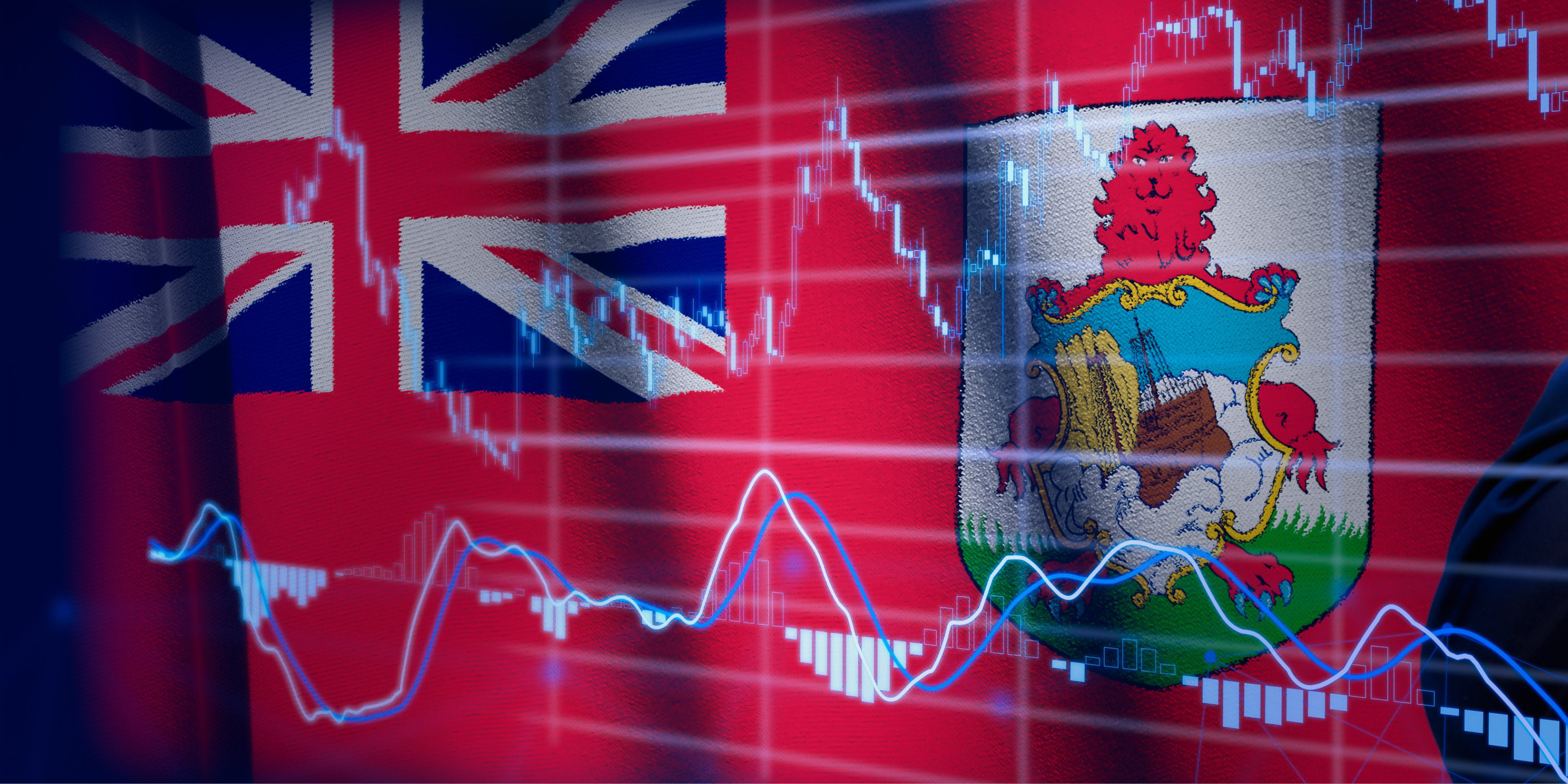Flag and graph image