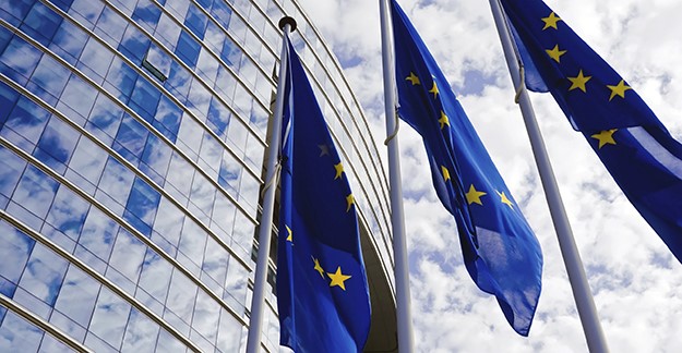 European Union flags