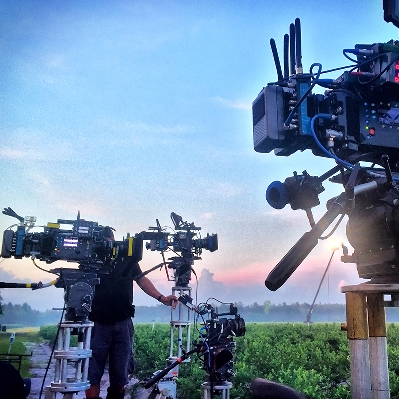 A group of four motion picture cameras set up for a sunrise shot.