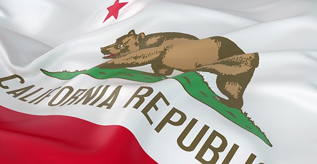 CA State flag