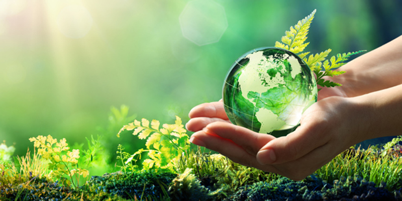 Hands Holding Globe Glass In Green Forest - Environment Concept