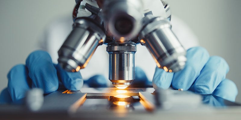 microscope