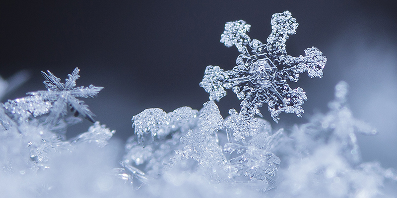 Snowflake on snow