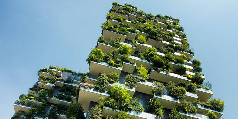 nature skyscraper