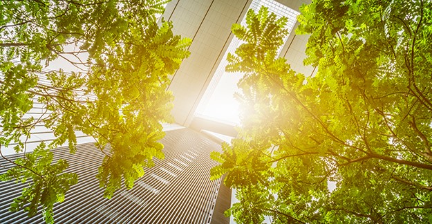 Office building with trees and sun glare