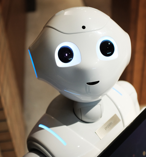 Robot named Pepper