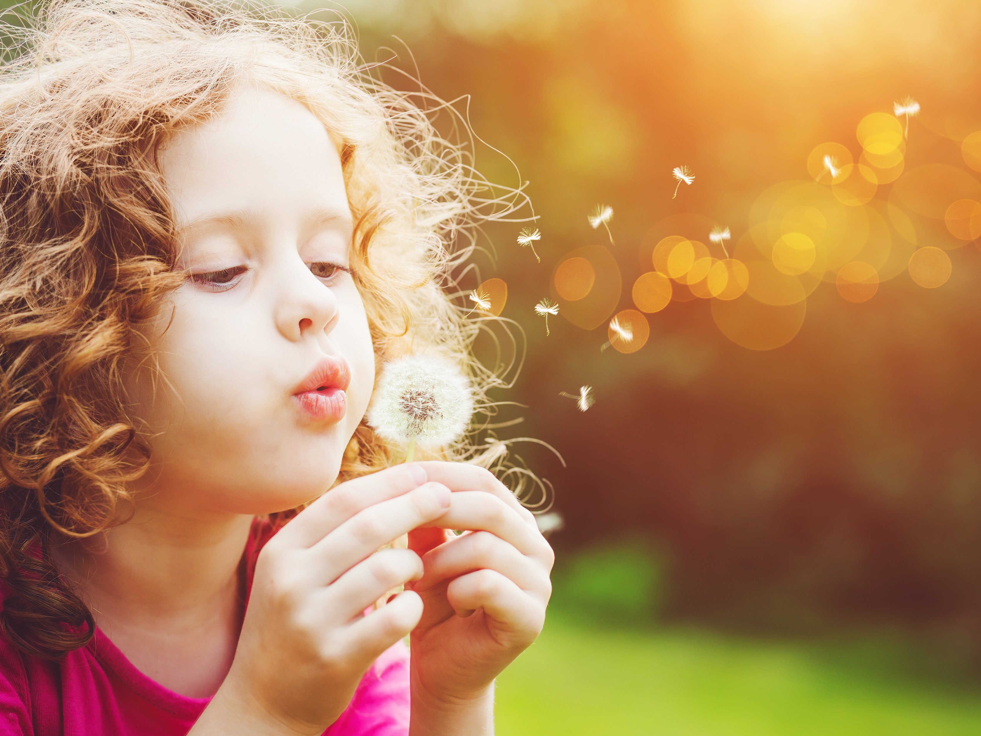child blowing on dandelion seeds